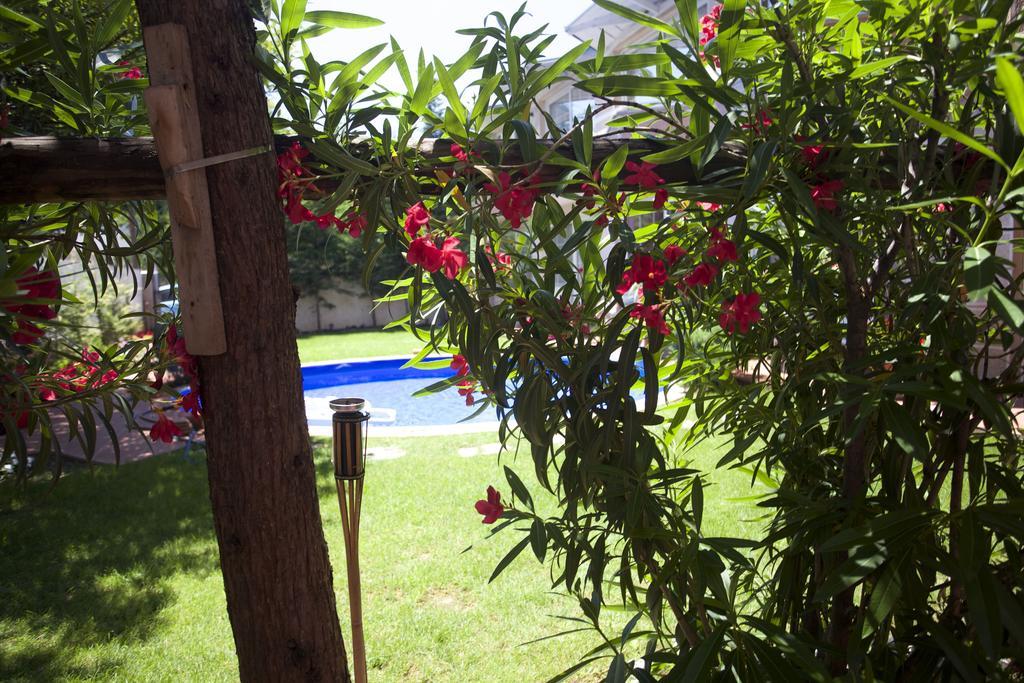 Aloha Luxury Apartments Üsküp Dış mekan fotoğraf